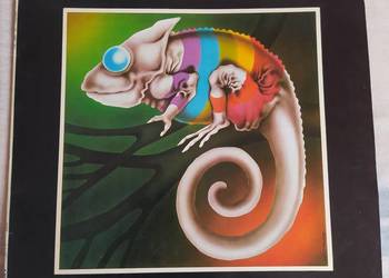 Polskie płyty winylowe