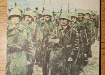 Żółty Tygrys - Operacja "Drawa" - 18/82