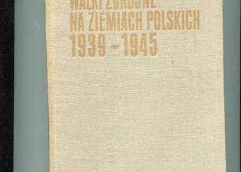 Walki zbrojne na ziemiach polskich 1939 1945 Dolata , Jurga Walki zbrojne na ziemiach polskich 1939 1945 Dolata , Jurga