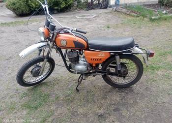 Wsk lelek 76 dudek bąk gil oryginał