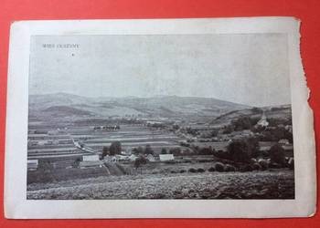 ( 506. ) Wieś Olszyny