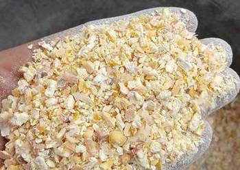 Kukurydza sucha cała lub grubo mielona, pszenica