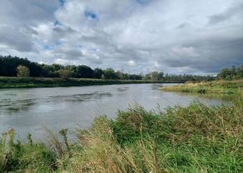 Działka rekreacyjna