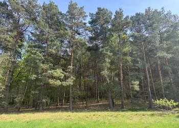 Działka na sprzedaż, Racula, 15 arów