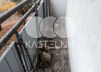 Sprzątanie po gołębiach Szczecinek – Kastelnik, mycie balkonów, strychów