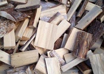 Drzewo drewno suszone olcha buk jesion