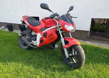 Gilera DNA