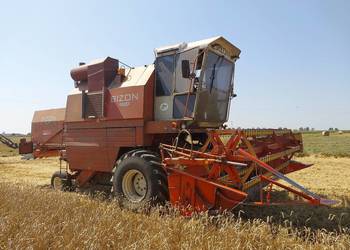 Bizon rekord czeski export.