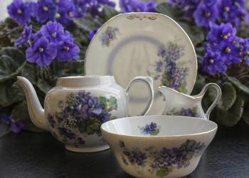 Victoria Czechosłowacja.Fiolki Wiktoriańska porcelana do herbaty/ kawy, lat