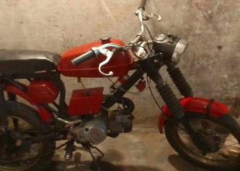 JAVA 50  1981 ROK Java  1979 rok