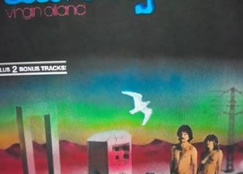 Archiwum austriackiego prog rocka ELLA CRAIG- Virgin Oiland. 1979