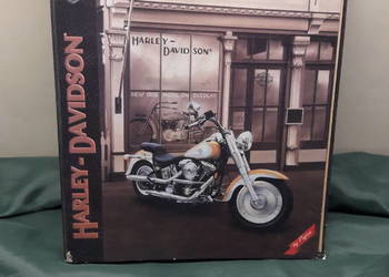 Segregator Motor Harley – Davidson Cycles
