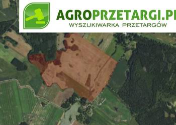 Sprzedaż 74,84 ha gruntu rolnego