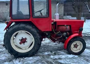 Władimirec T25 z Holandii