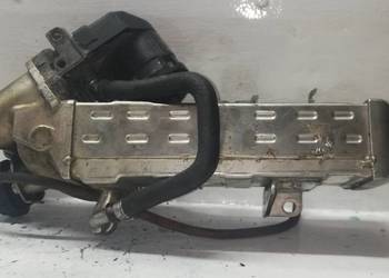 Chłodnica spalin  BMW 2.0 D 7810871