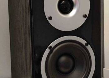 Kolumny podstawkowe Wilson Raptor Mini czarny - 10 lat gwarancji