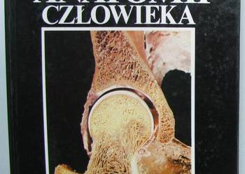 ATLAS ANATOMII CZŁOWIEKA TOM 1 - VAJDA