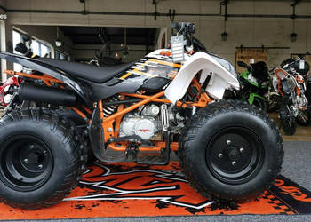 KAYO Inny SALON MOTOCYKLOWY MOTOEAGLES Kayo A 150 Sprawdż ofertę i Serwis