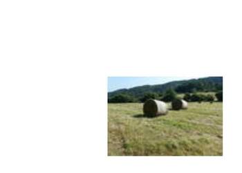 Siano 2025 w siatce górskie Siano 2025 w siatce górskie