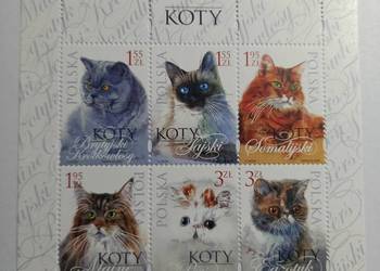 Bl 222  Koty – 2010r czysty
