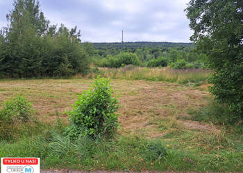 Sprzedaż gruntu Nowa Słupia 12800m