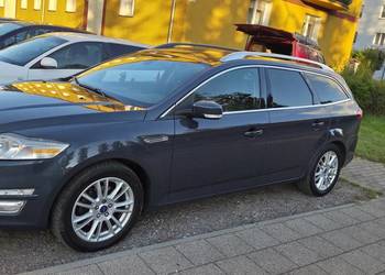 Sprzedam pięknego mondziaka