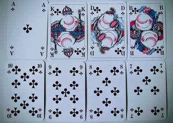 Karty do gry w skata