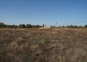 Kolonia Golina - działka rolna o pow. 4,8400 ha + stawy