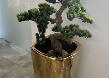 Sztuczne drzewko Bonsai Premium w doniczce 67x60x33