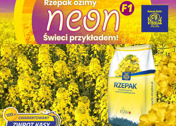 Rzepak Neon + Buteo Start