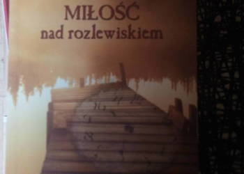 Miłość nad rozlewiskiem Małgorzata Kalicińska