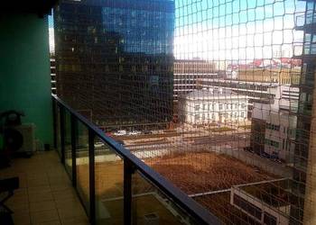 Siatki zabezpieczające przed ptakami Montaż Bezinwazyjny Warszawa Siatki zabezpieczające przed ptakami Montaż Bezinwazyjny Warszawa