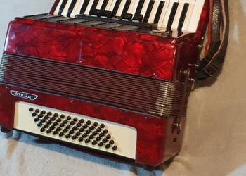 Akordeon weltmeister