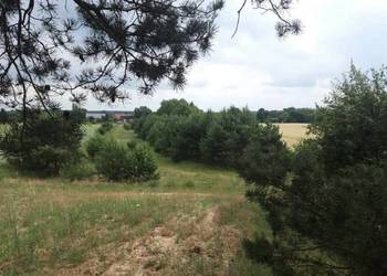 Działka z możliwością zabudowy