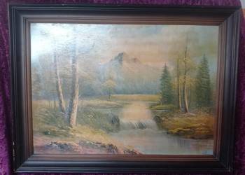 Reprodukcja obrazu Wodospadzik