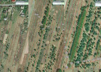 Na sprzedaż: działka 1,75 ha – Janik, gmina Kunów (powiat Ostrowiec Św.