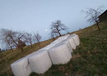 Baloty sianokiszonki Baloty sianokiszonki