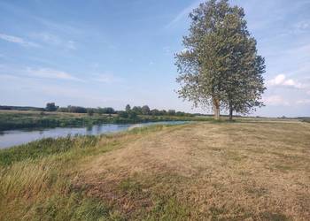 Działka z Potencjałem nad Rzeka Narew 8400m2 Targonie Wielkie
