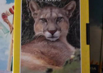 Zestaw National Geographic Video kasety 4x VHS:Lwy i Hieny,Tygrys syberyjsk