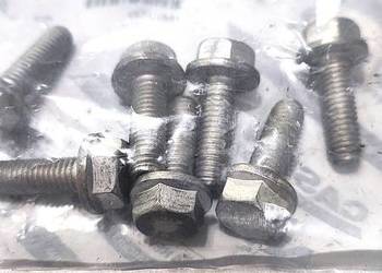 Śruba zawiasu drzwi Iveco 16673735