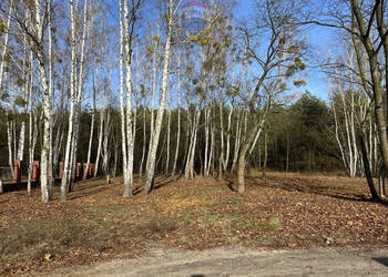 Konstancin-urokliwa działka budowlana /media/MPZP