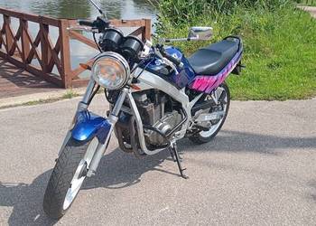Suzuki gs500