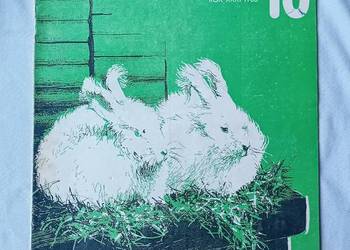 Hodowca Drobnego Inwentarza. Nr 10 / 1983 r.