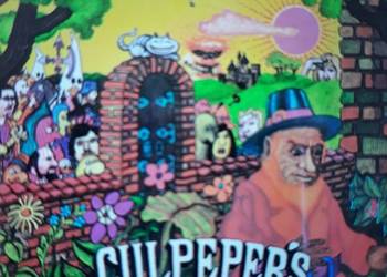 Perełka kolekcjonerska Prog Rocka CULPEPERS  ORCHAD- Culpepers Orchad. 1971