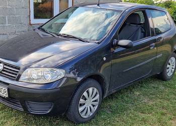 Ładny Fiat Punto!