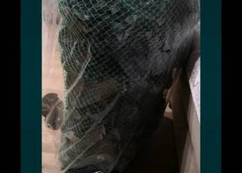 Wkład do filtra koszowrgo. Wkład do filtra koszowrgo.