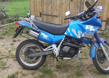 Suzki dr 650