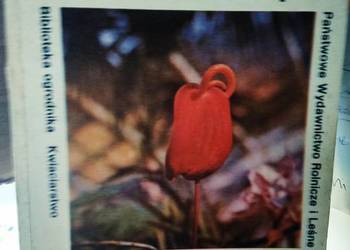 Kwiaty cuęte uprawne pod szkłem i filią biblioteka ogrodnika Kwiaty cuęte uprawne pod szkłem i filią biblioteka ogrodnika