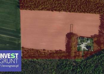 [5,56 ha] grunty rolne przetarg na dzierżawę