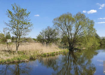 Do sprzedaży działka Trzebiatów 3314 metry